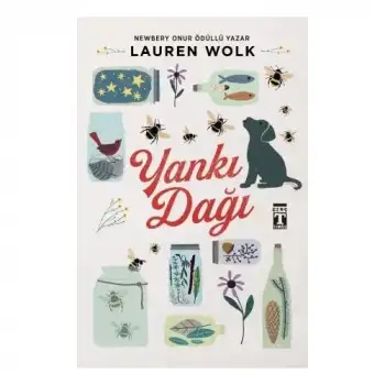 Timaş Yankı Dağı