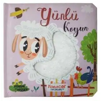 Yumurcak Yünlü Koyun