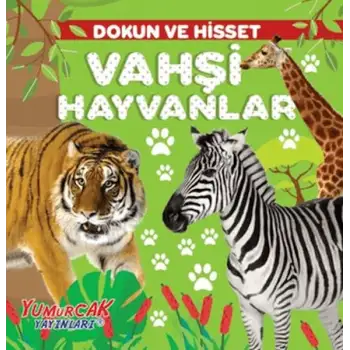 Yumurcak Dokun ve Hisset Vahşi Hayvanlar