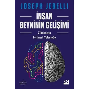 Doğan İnsan Beyninin Gelişimi