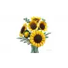 Lego Botanicals Ayçiçeği Buketi 11502
