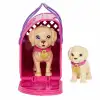 Mattel Barbie Ve Köpekçikleri Oyun Seti Hkd86