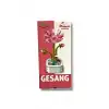 Dostoys Lego Gesang Çiçeği Blok OCE-6351