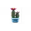 Lego Botanicals Çiçekli Kaktüs 11509