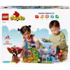 Lego Duplo 10974 Vahşi Asya Hayvanları