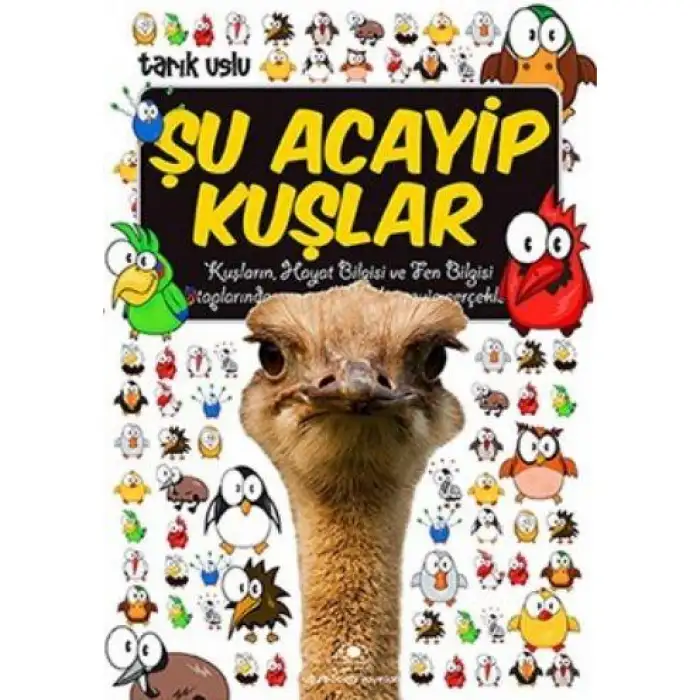 Uğurböceği Şu Acayip Kuşlar