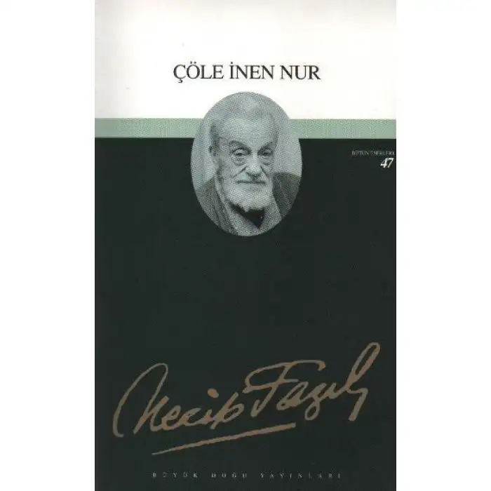 Büyükdoğu Çöle İnen Nur