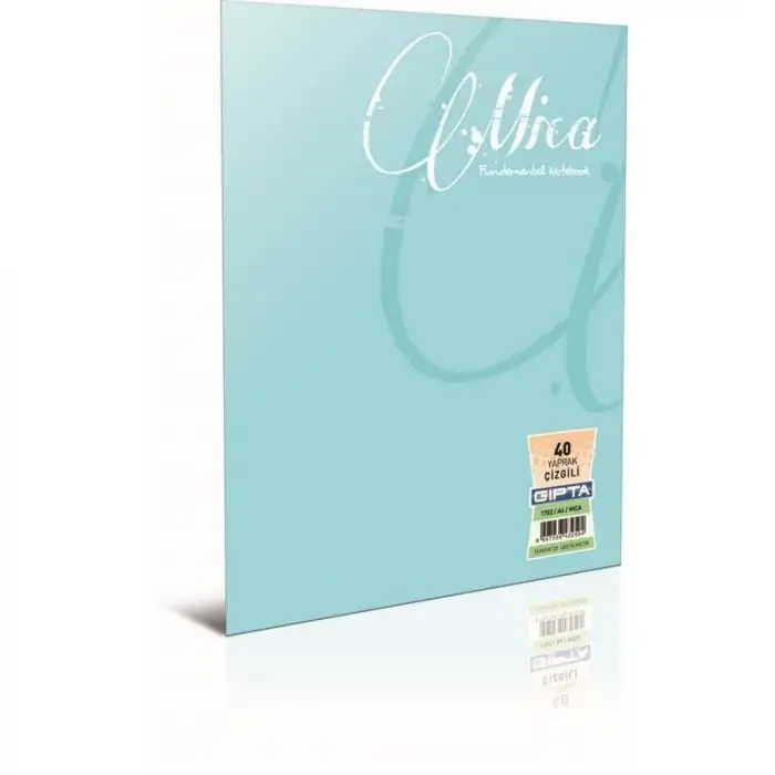 Gıpta Mıca Tel Dkş.Pp Kpk.Def.A4-60 Yp.Kare (1705 )