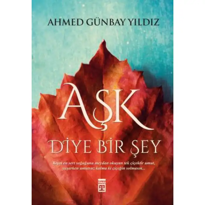 Timaş Aşk Diye Bir Şey