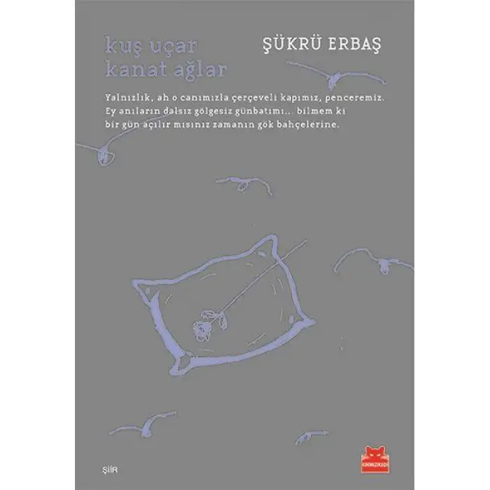 Kırmızıkedi Kuş Uçar Kanat Ağlar