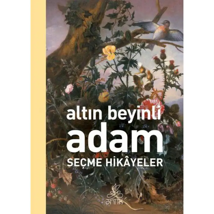 Timaş Altın Beyinli Adam