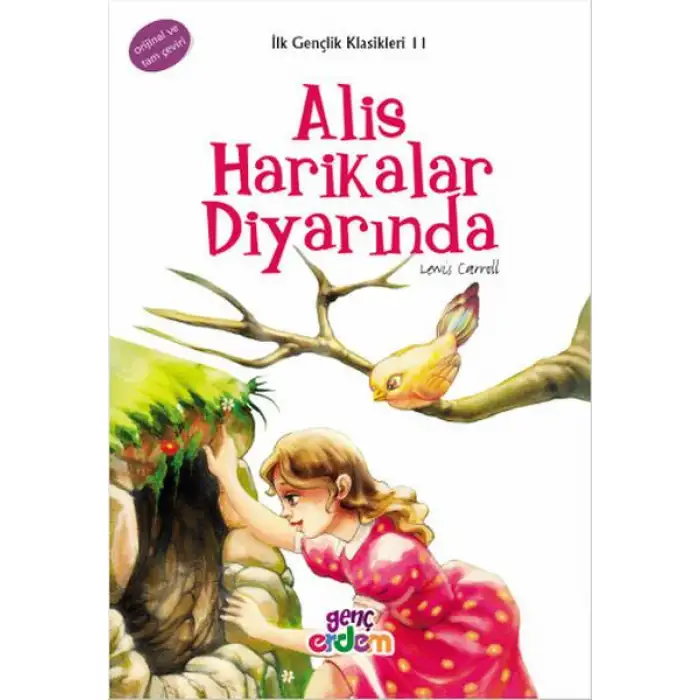 Erdem Alis Harikalar Ülkesinde İlk Gençlik Dizisi