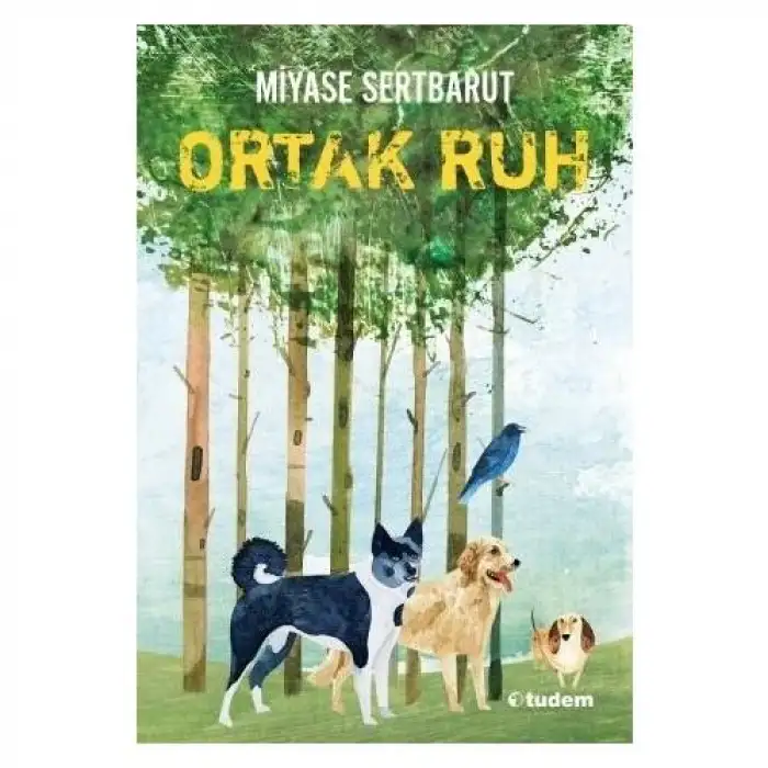 Tudem Sisin Sakladıkları - 2 Ortak Ruh