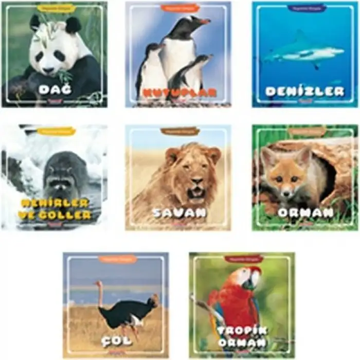 Yumurcak Hayvanlar Dünyası 8 Kitap