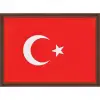 Panda Türk Bayrağı (Mdf Çerçeveli) 25x35 ( 423 )