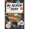 Uğurböceği Şu Acayip Uzay