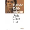Can Dağa Çıkan Kurt