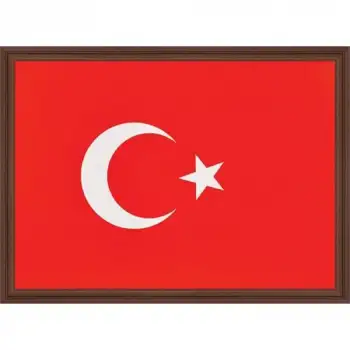 Panda Türk Bayrağı (Mdf Çerçeveli) 25x35 ( 423 )