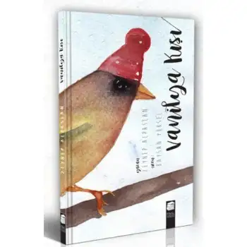 Finalkültür Vanilya Kışı (Ciltli)