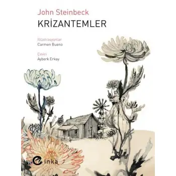 İnka Krizantemler