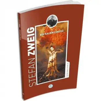 Maviçatı Bir Kalbin Çöküşü