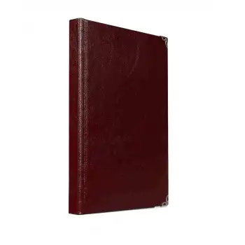 Lızy S.Deri Çizgili Ajanda Aj927