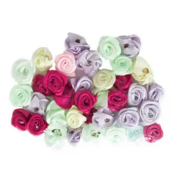 Dolphın Eva (Gül) (Dlp-My-20864)