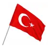 Buket Türk Bayrağı 20x30 Cm Sopalı Alpaka Bkt-119