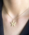 Kadın Deniz Yıldızı 925 Ayar Gümüş - Altın Rengi Kolye