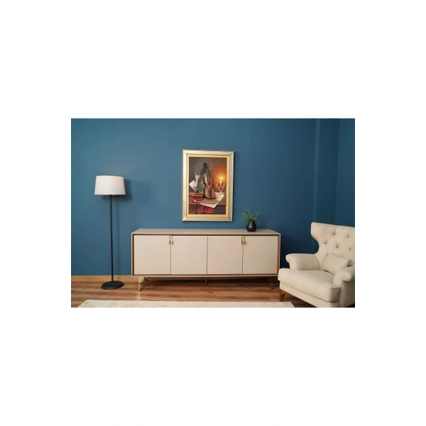 Speel Keman Temalı Aynalı Çerçeveli Özel Tasarım Tablo 81x112cm