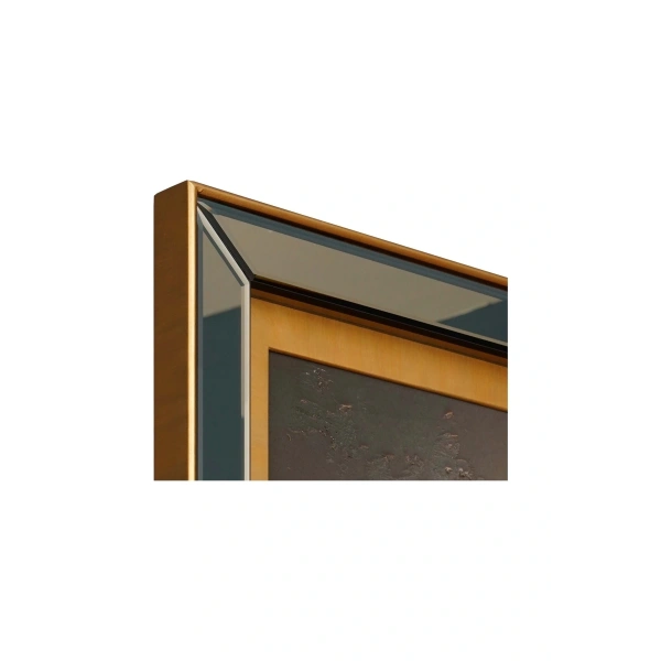 Speel Keman Temalı Aynalı Çerçeveli Özel Tasarım Tablo 81x112cm