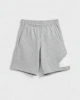 ADDS Future Icon Şort - Gri
