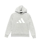 ADDS Future Logo Basic Hoodie - Gri