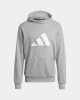 ADDS Future Logo Basic Hoodie - Gri