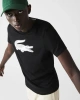LCST Printed Cro T-shirt – Siyah