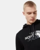 TNF Drew Peak Hoodie