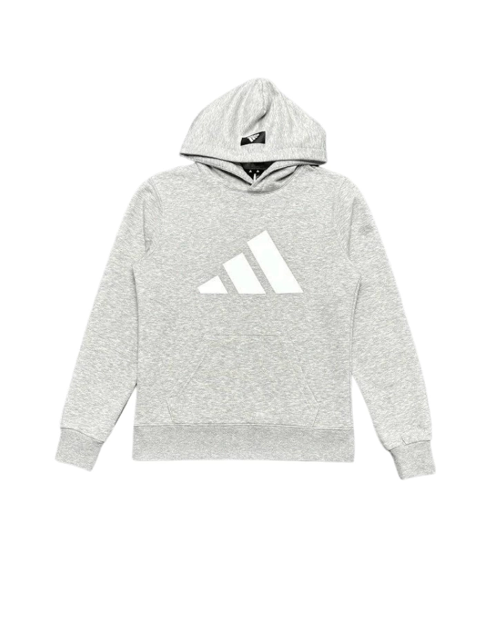 ADDS Future Logo Basic Hoodie - Gri