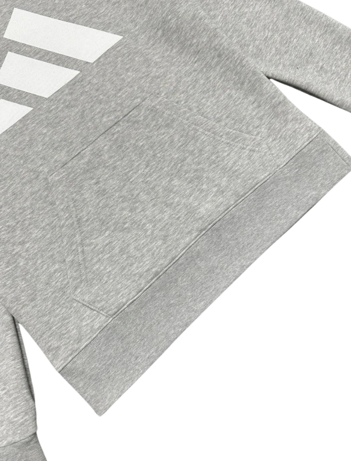 ADDS Future Logo Basic Hoodie - Gri