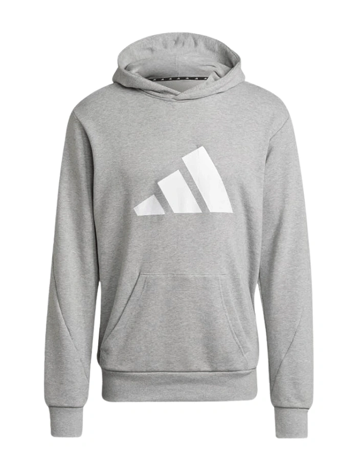 ADDS Future Logo Basic Hoodie - Gri