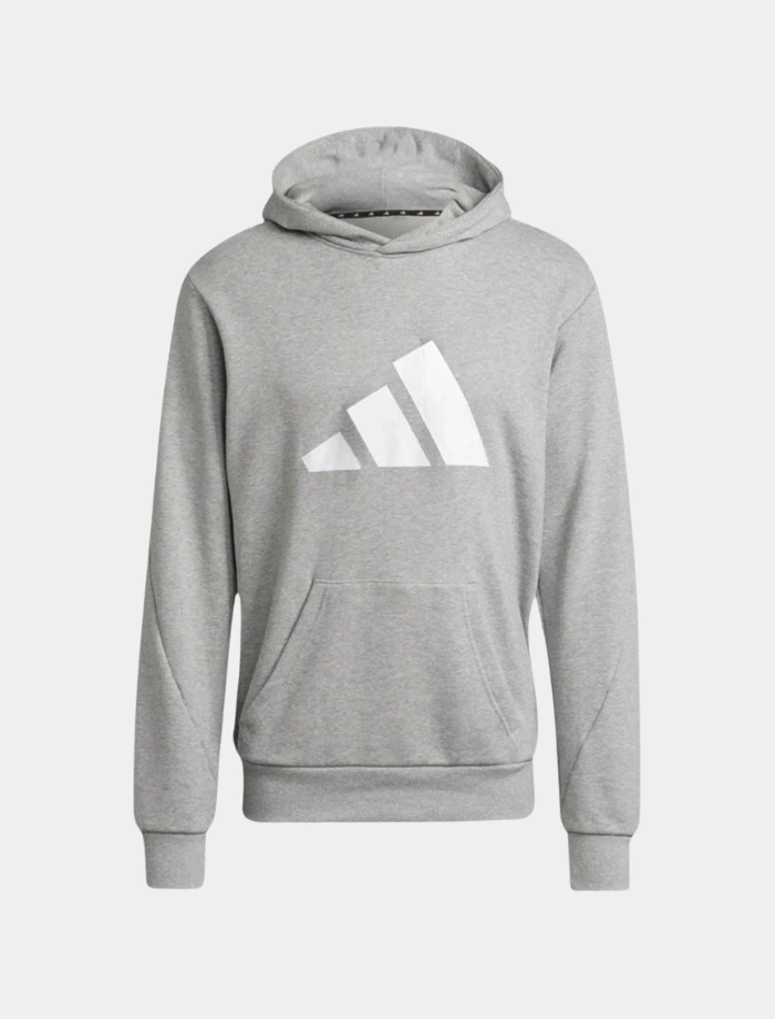 ADDS Future Logo Basic Hoodie - Gri