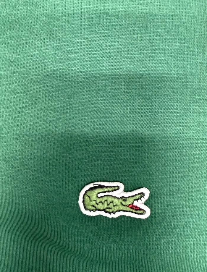 LCST Basic Kapüşonlu Hoodie - Yeşil