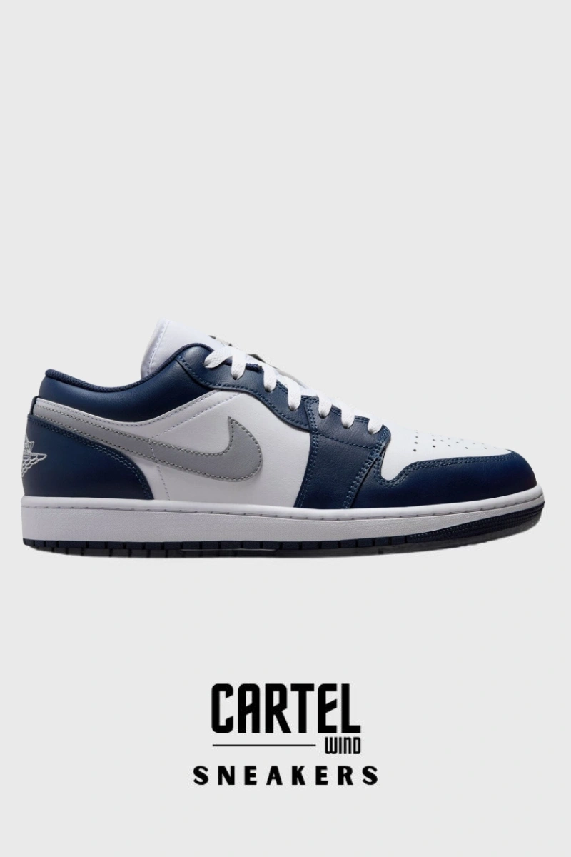 N Air Jordan 1 Low CO Sneaker – Blue
