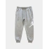 JRDN Jumpman Big Logo Jogger – Gri