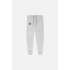 PARIS PSG x Tech Fleece Jogger – Gri