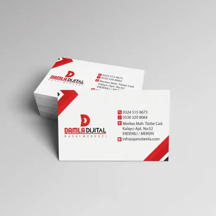 Kartvizit 250 Gr A. Bristol Tek Yön Parlak Selefon