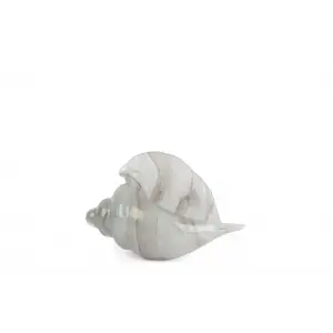 Mikasa Moor Alba Glass Dekoratif Deniz Kabuğu 10x22x14 cm