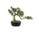 Mikasa Moor Pinus Yapay Bonsai Ağaç 30x28cm