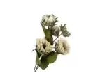 Mikasa Moor Krizantem Krem 5li Yapay Çiçek 66cm