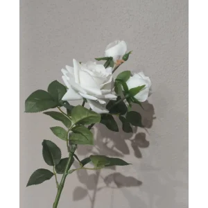 Koçaklar Yapay Beyaz 3*LÜ Islak Gül 73CM
