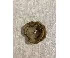 Anlar Home Bej Yaka Gülü